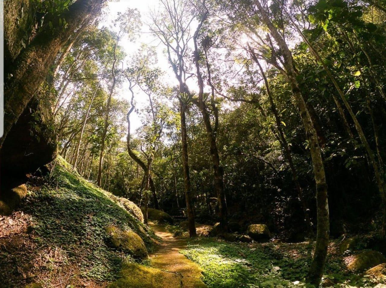 Caminhos De Gaia