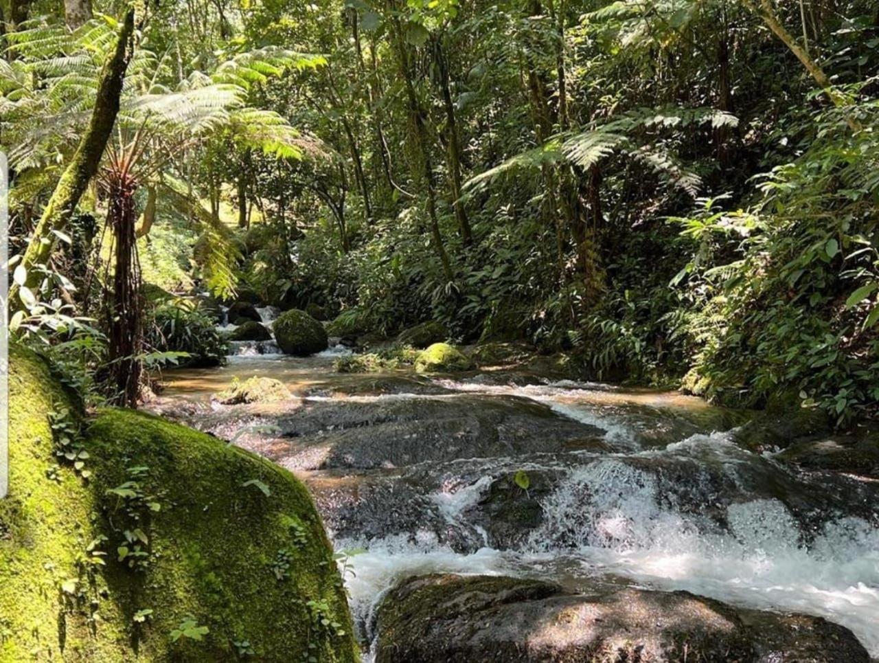 Caminhos De Gaia *